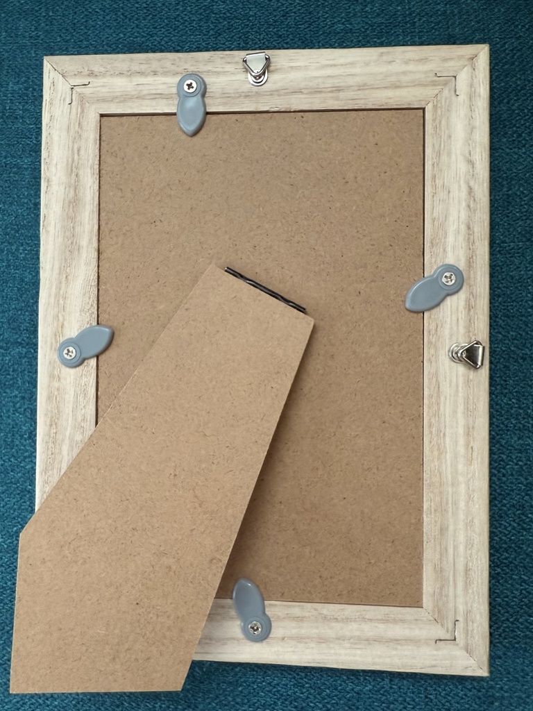 向日葵とカクレクマノミ