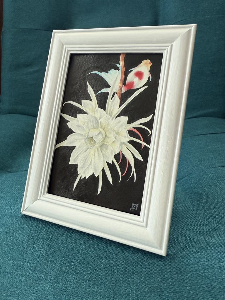 月下美人と金魚