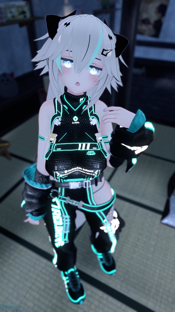 【萌】サイバーカーゴ