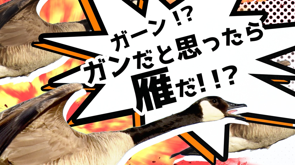 【CoC6版日本刀シナリオ】うおーっ!?太刀だと思ったら太刀魚だ!!? SPLL:E197612