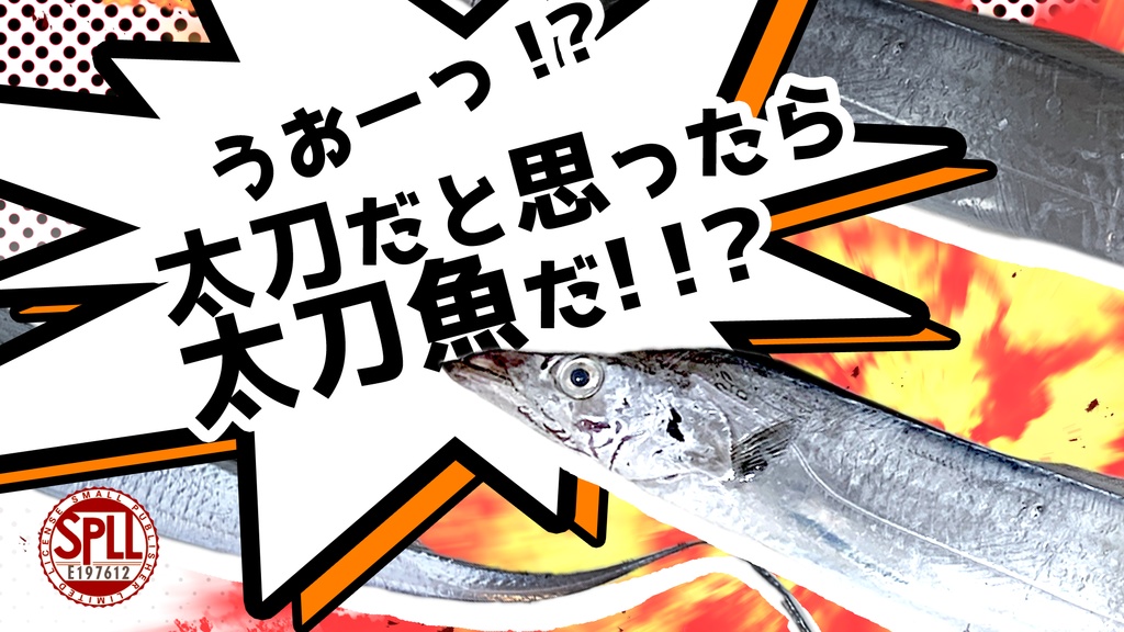 【CoC6版日本刀シナリオ】うおーっ!?太刀だと思ったら太刀魚だ!!? SPLL:E197612
