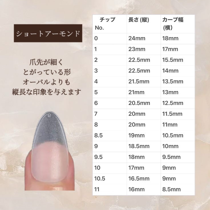 ネイルチップの種類とサイズについて