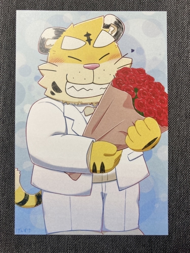 【関西けもケット11頒布】ポストカード【ケイタ】