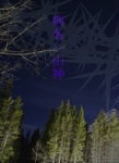 【送料込み】病名:山神