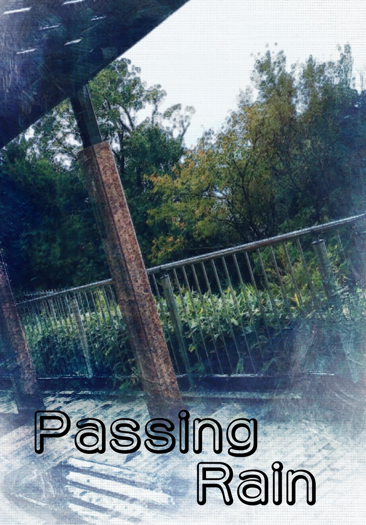 【送料込み】Passing Rain