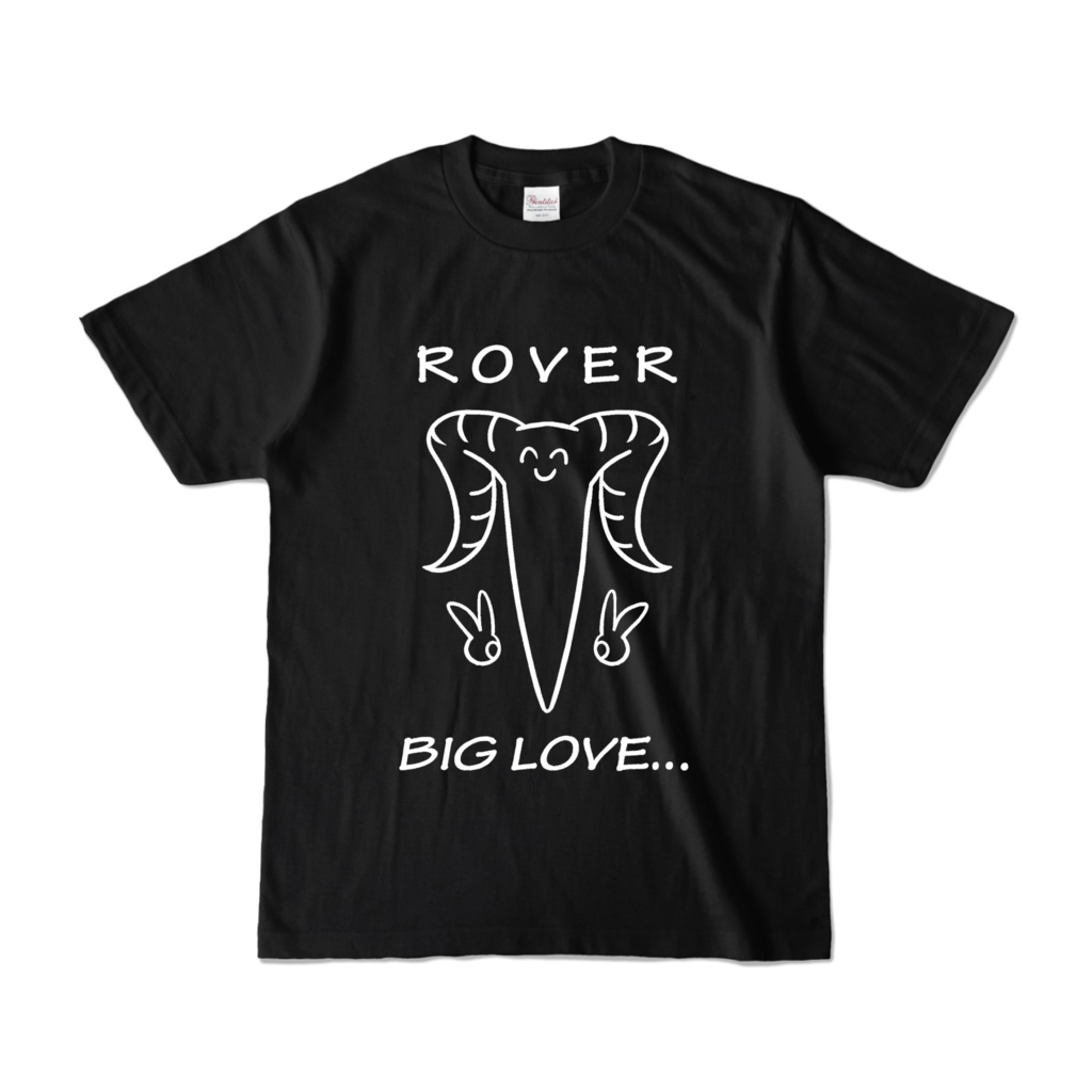 BIGLOVE... Tシャツ