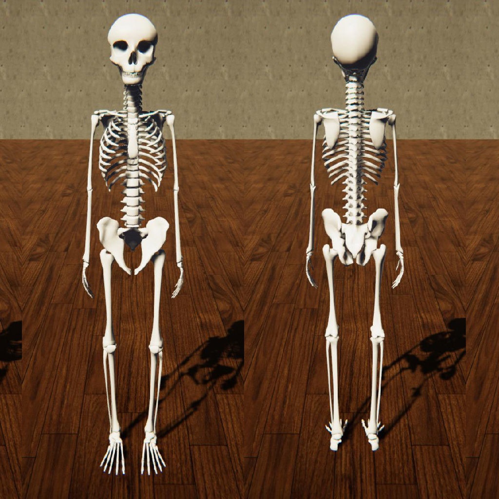 【vrmモデル】シンプルスケルトン