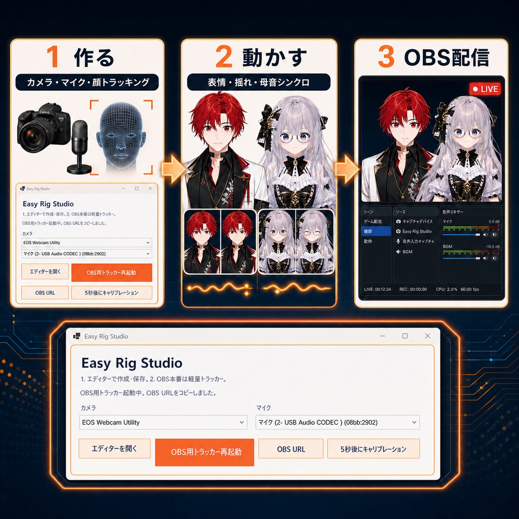 Easy Rig Studio|カメラ・マイク・OBS対応 Windows向けVTuber制作・配信ツール