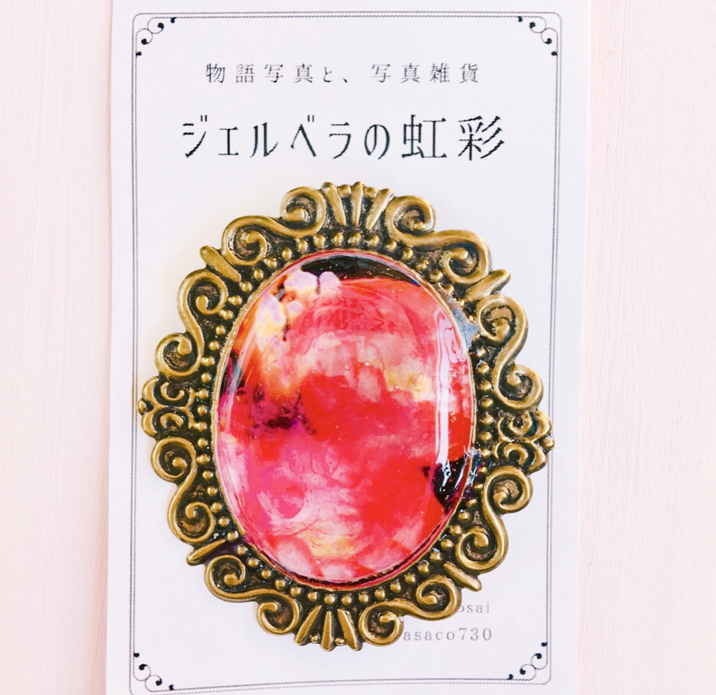 写真の標本ブローチ