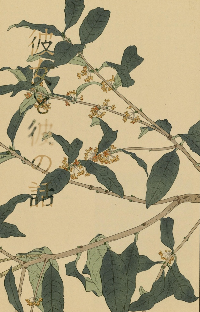 明さに小説『彼女と彼の話』