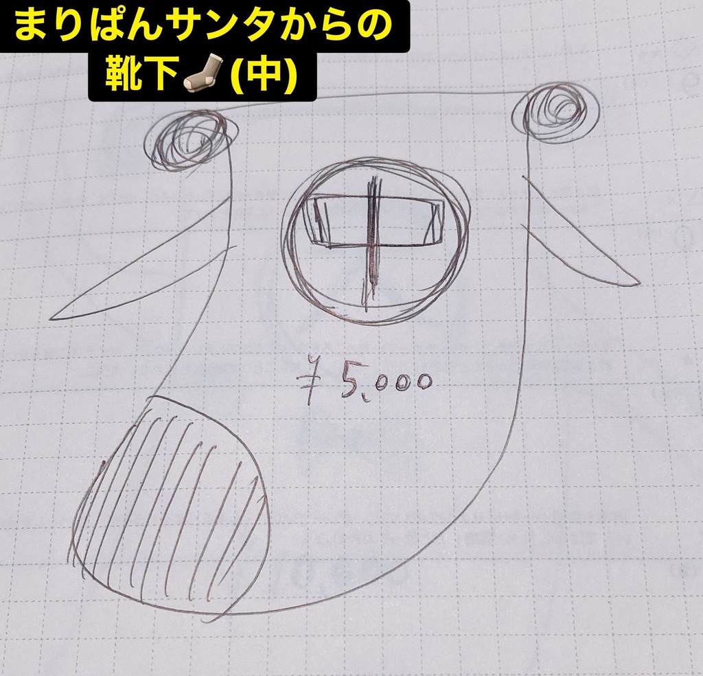 【まりぱんサンタからの靴下🧦(中)】※匿名配送㊙️