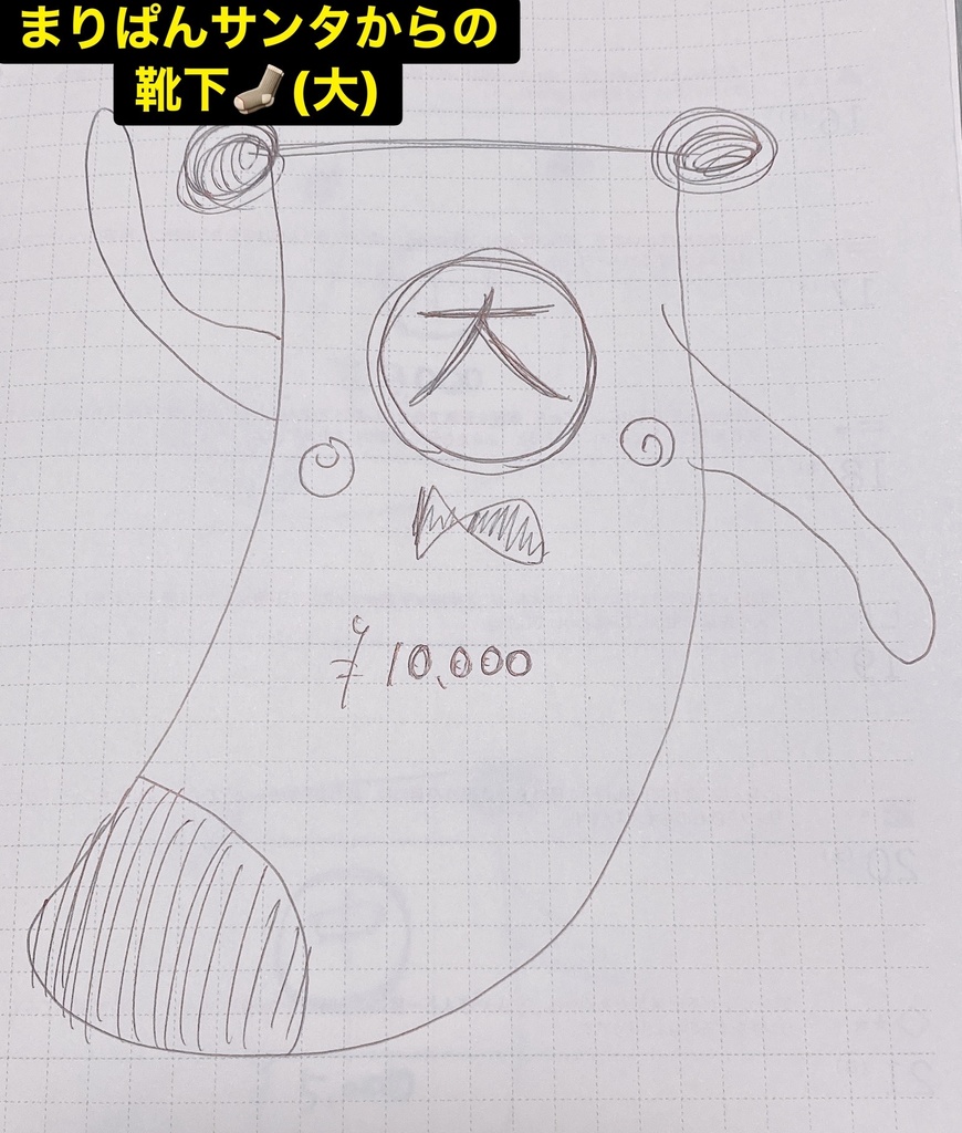 【まりぱんサンタからの靴下🧦(大)】匿名配送㊙️