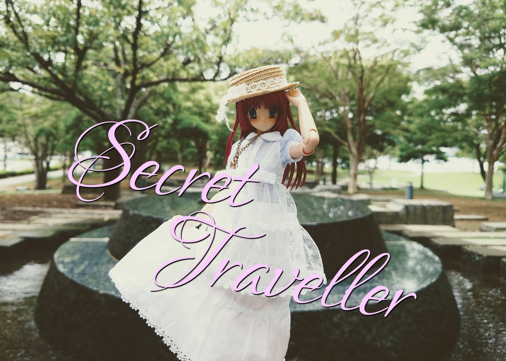 Secret Traveller