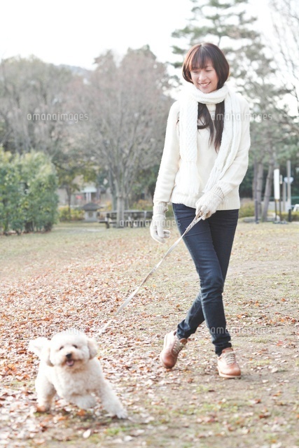 並木道をイメージしたミドルテンポのピアノ曲