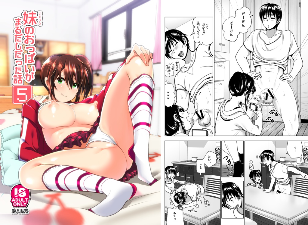 妹のおっぱいがまるだしだった話5(電子版)