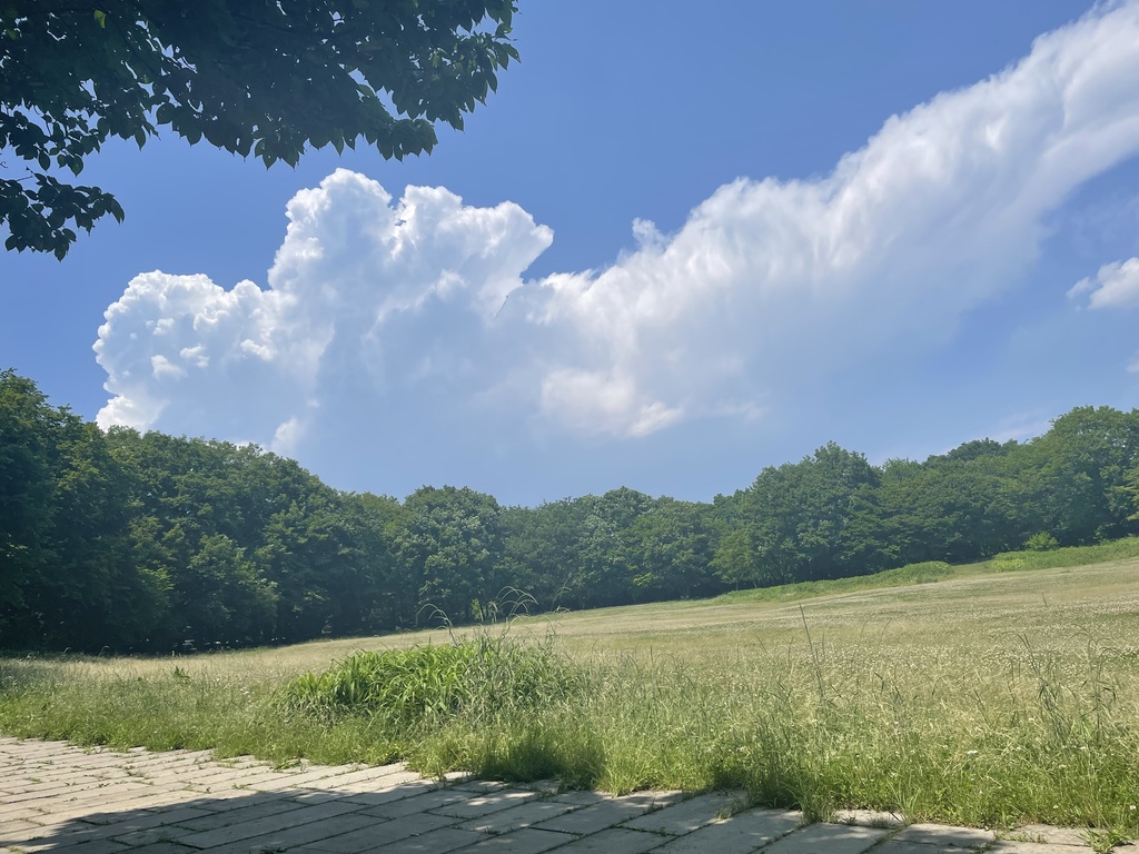 【素材】自然背景、素材集【写真】
