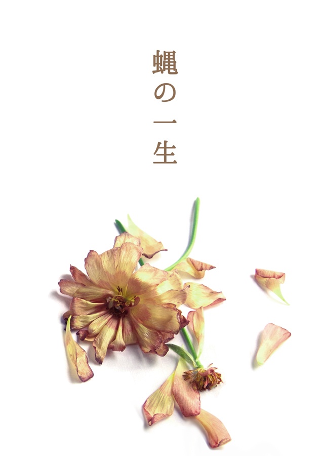 蝿の一生【キスフェイ】