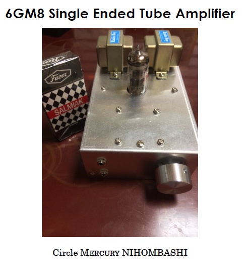 6GM8 Single Ended Tube Amplifier