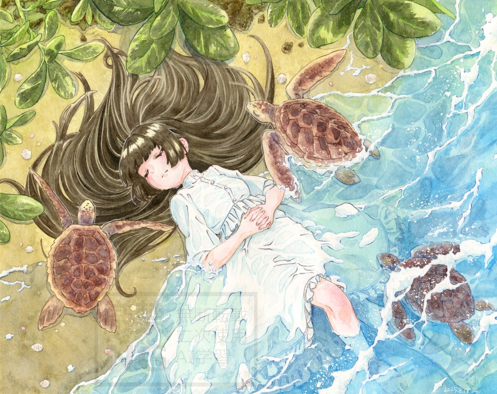 ポストカードセット「ウミガメの浜辺」「カクレクマノミ」