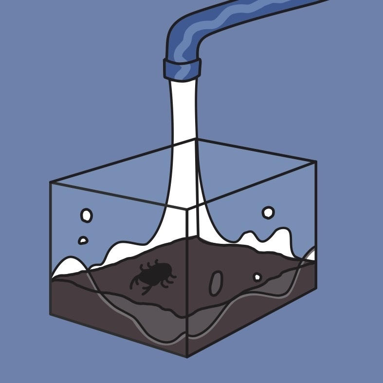 ドリームピクニック🟣パープル　正方形キャンバス