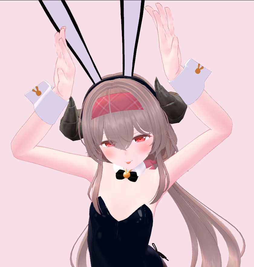 【レグニア向け衣装】シンプルなバニー服 +サナティア対応