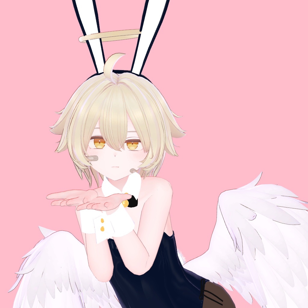 【レグニア向け衣装】シンプルなバニー服 +サナティア対応