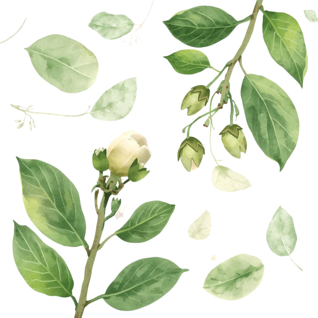 春の水彩クリップアートセット|やさしく可愛い春素材|背景透過PNG