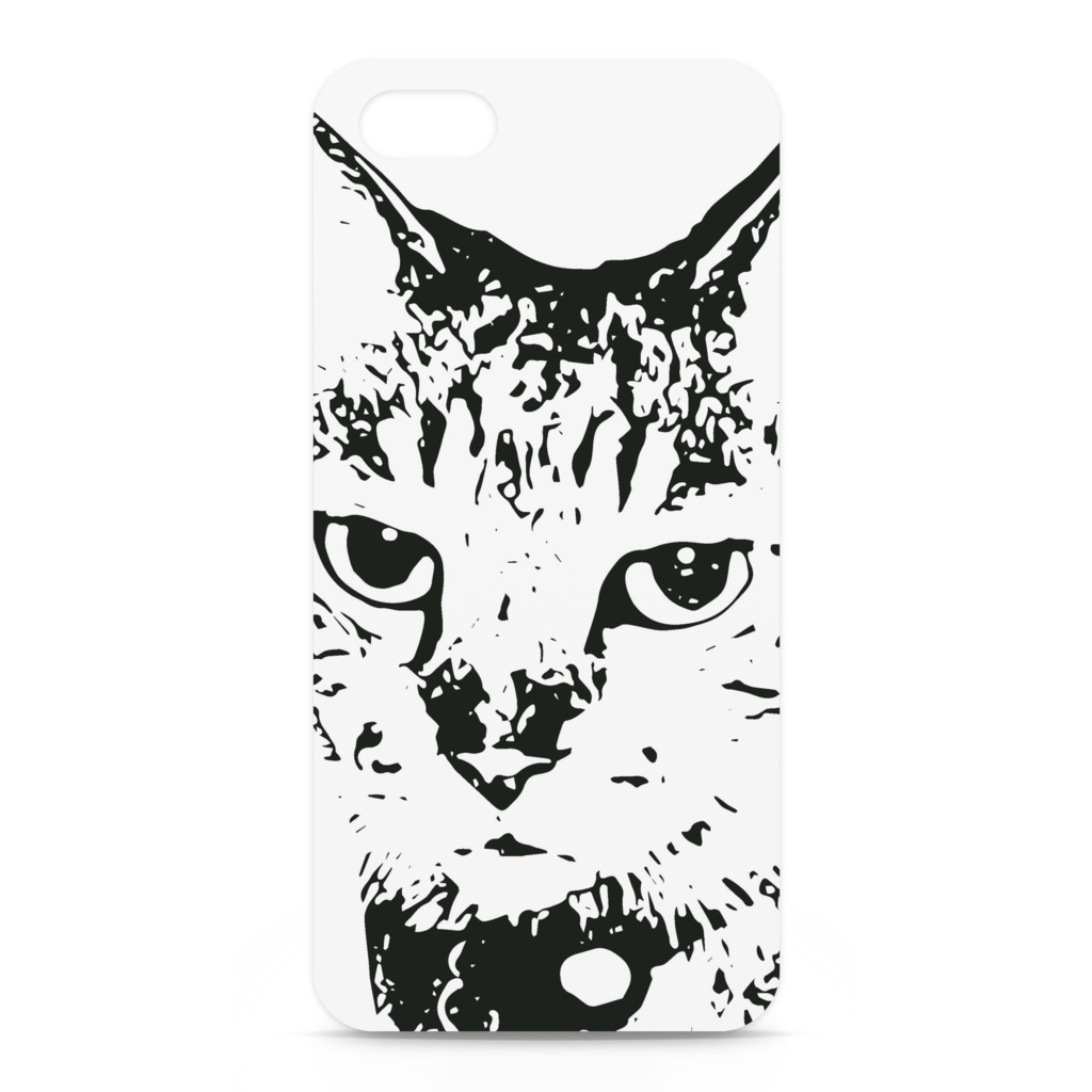 cat cat cat