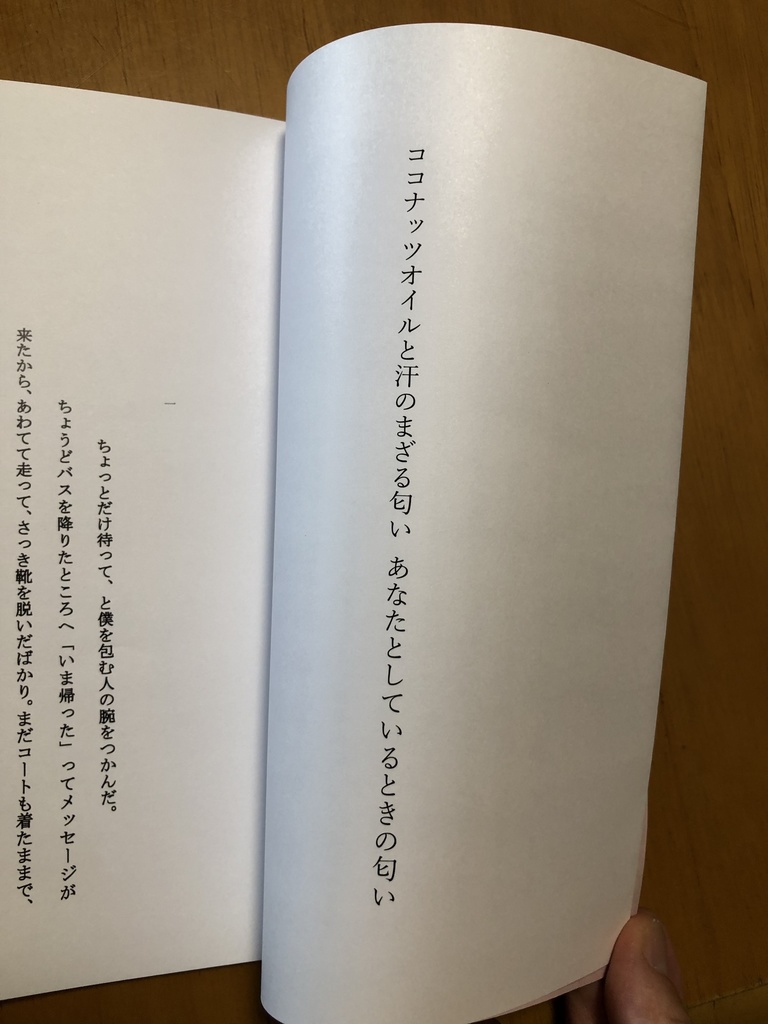 【送料込】創作BL短歌集『そっけない短歌をどうぞ』