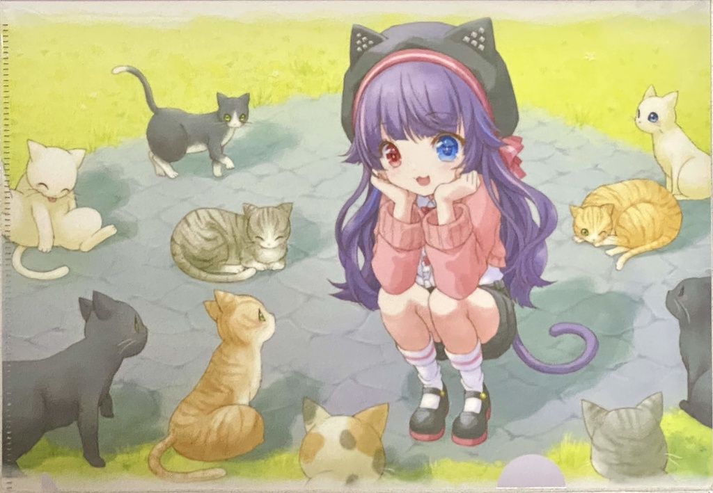 クリアファイル　猫の会合
