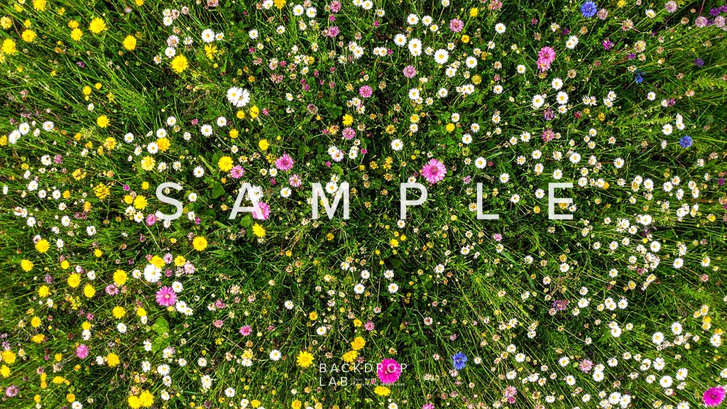 【背景セット】草花のテクスチャ(15枚)