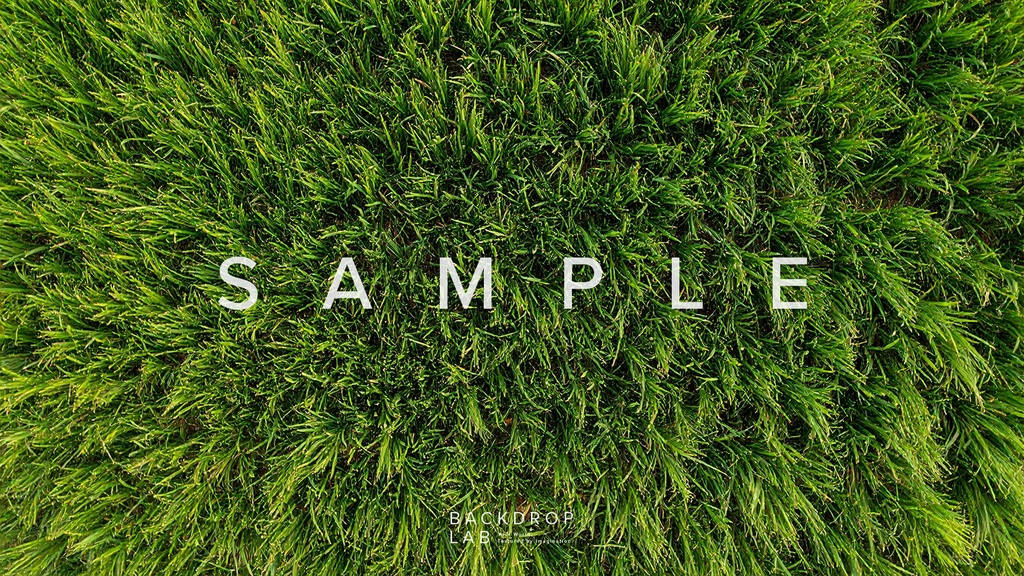 【背景セット】草花のテクスチャ(15枚)