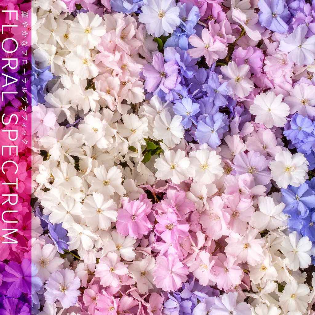 【背景】色とりどりの花のグラフィック素材(10枚セット)