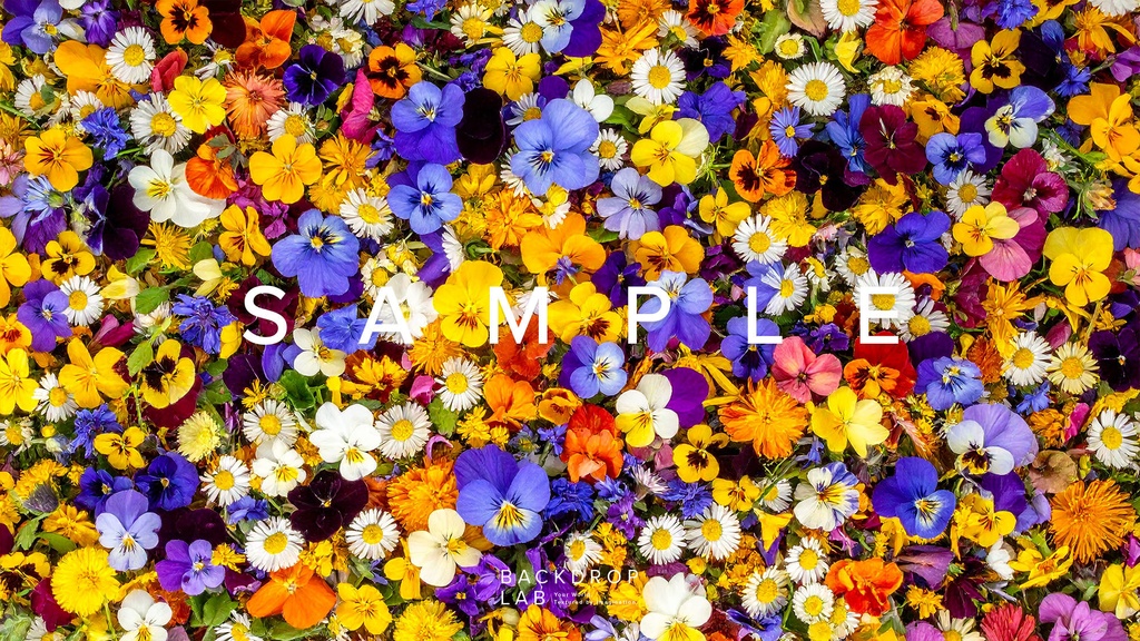 【背景】色とりどりの花のグラフィック素材(10枚セット)