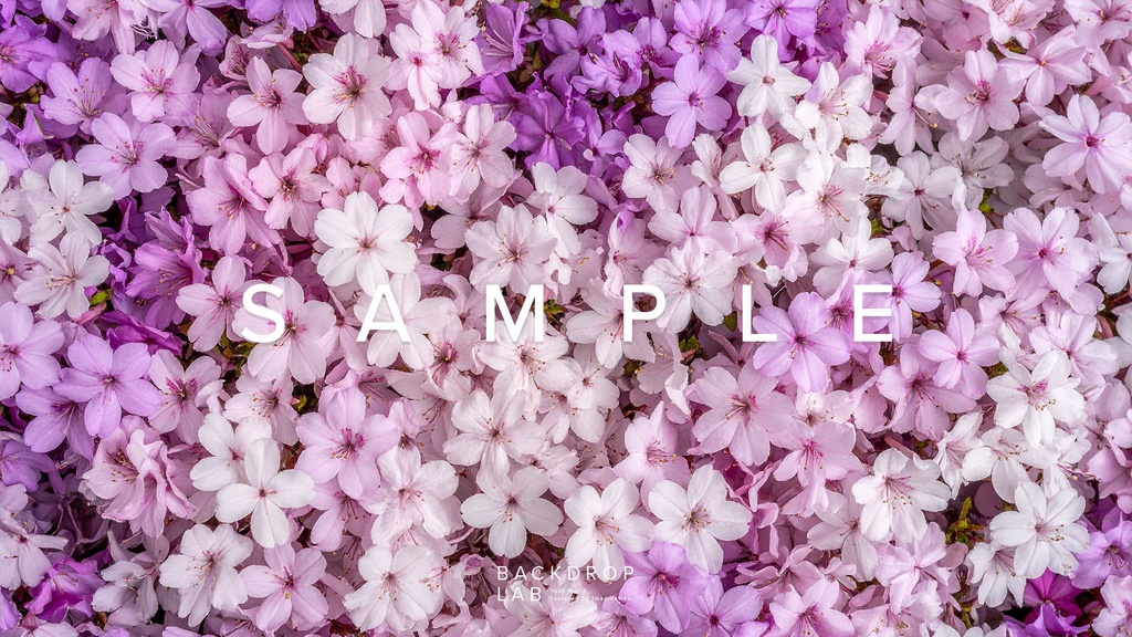 【背景】色とりどりの花のグラフィック素材(10枚セット)