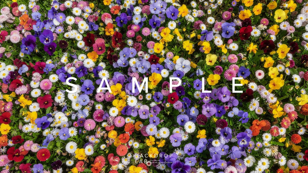 【背景】色とりどりの花のグラフィック素材(10枚セット)