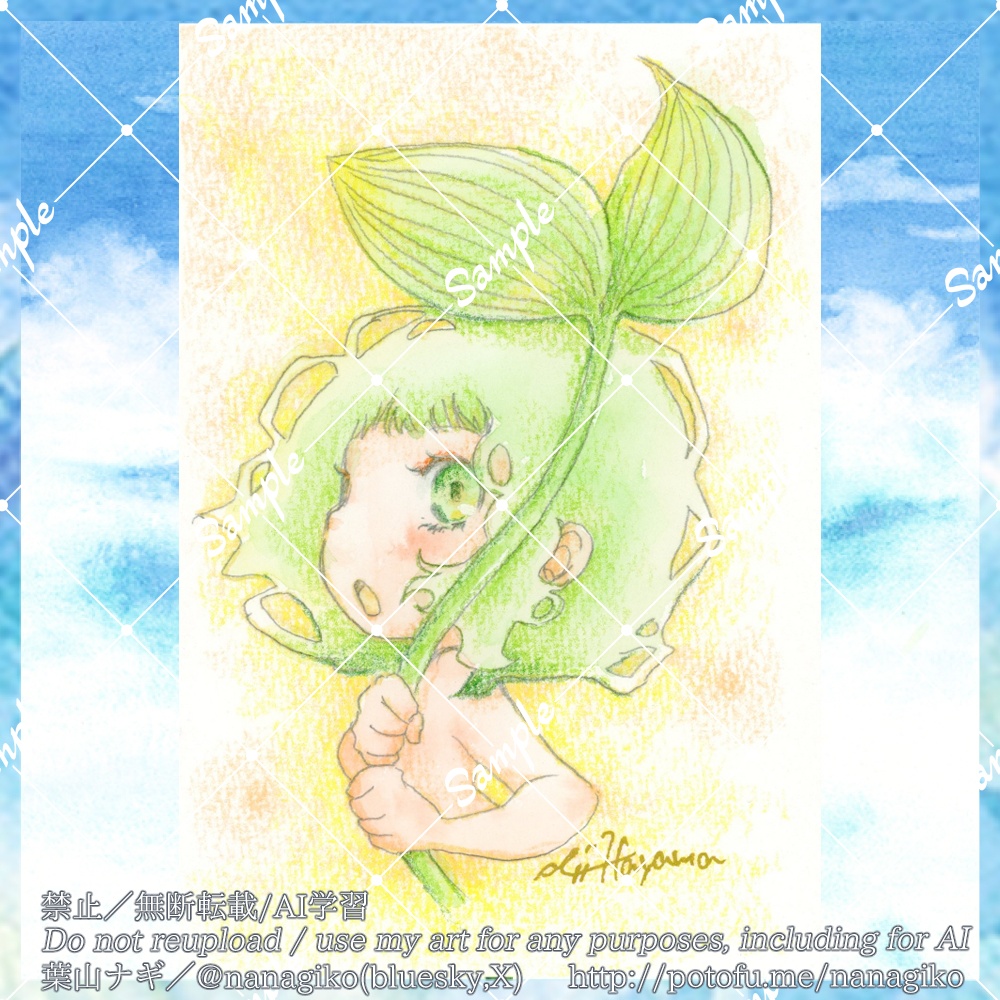 ドローイング原画