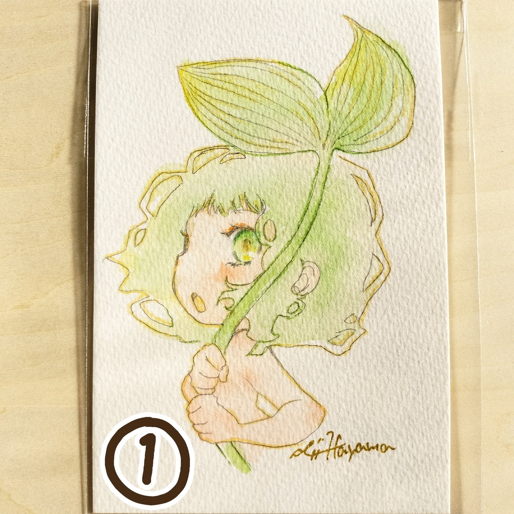 ドローイング原画