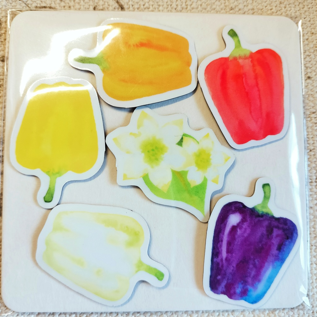 パプリカ マグネット