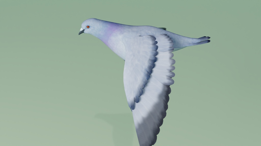 ハト 3Dモデル