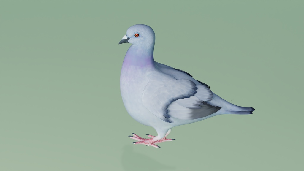 ハト 3Dモデル