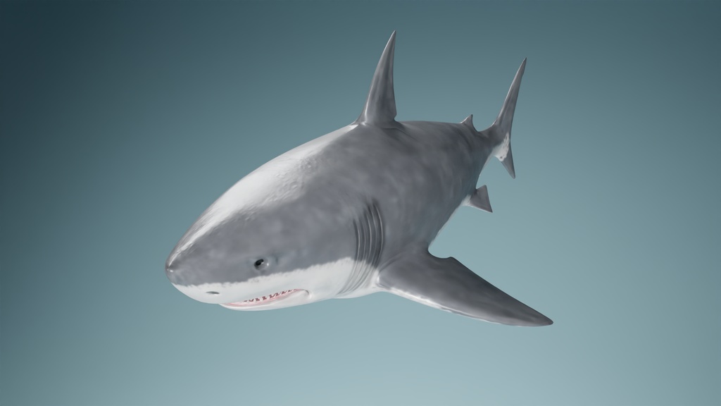 サメ 3Dモデル