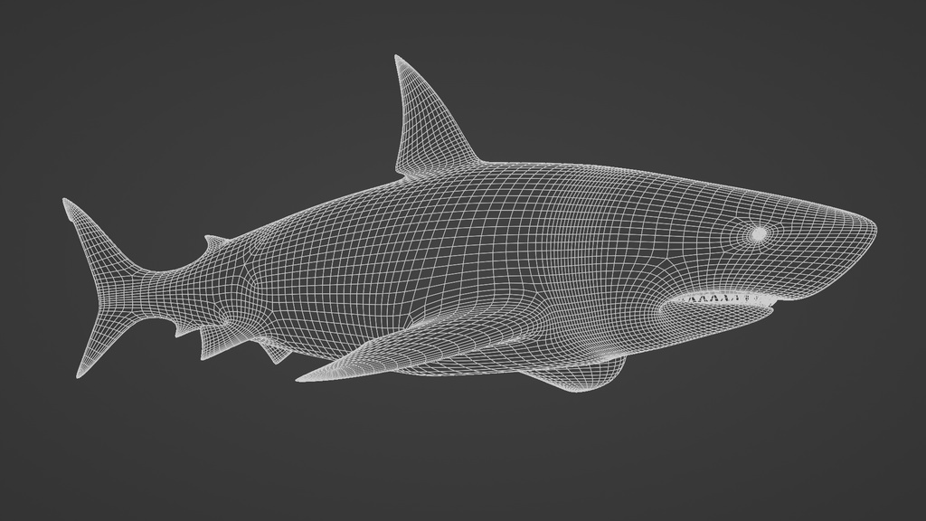 サメ 3Dモデル