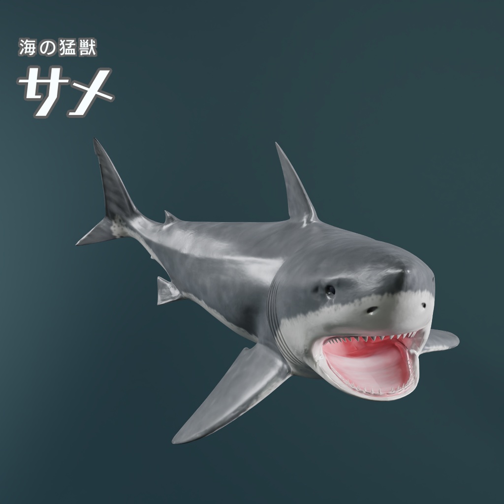 サメ　3Dモデル