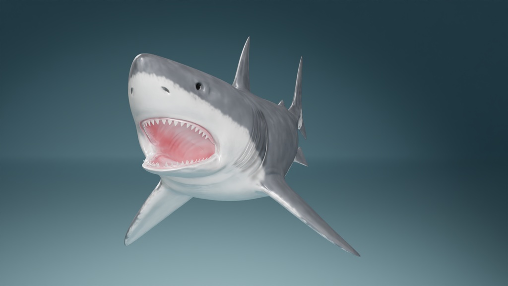サメ 3Dモデル