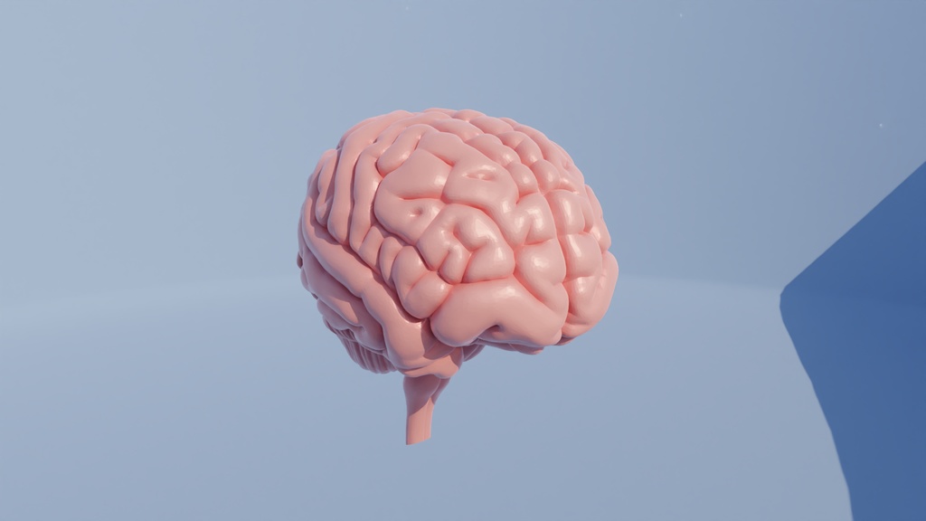 脳 3Dモデル