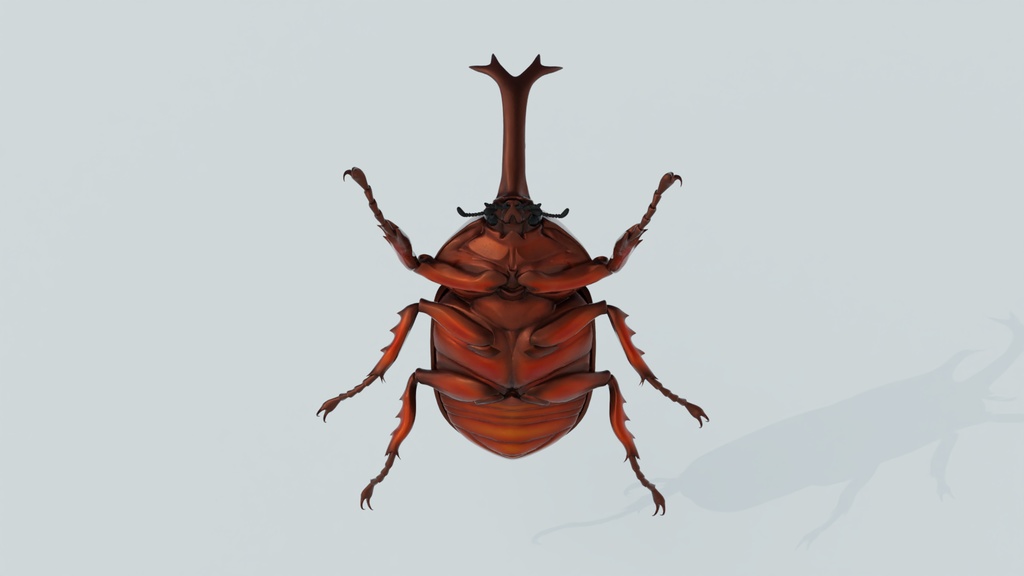 カブトムシ 3Dモデル