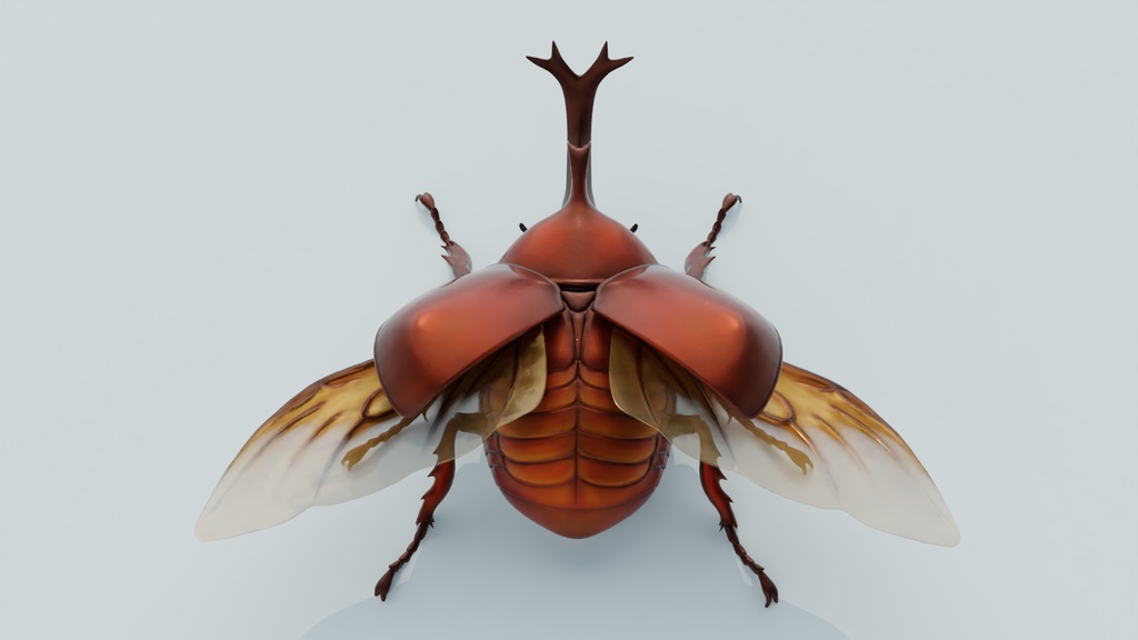 カブトムシ 3Dモデル
