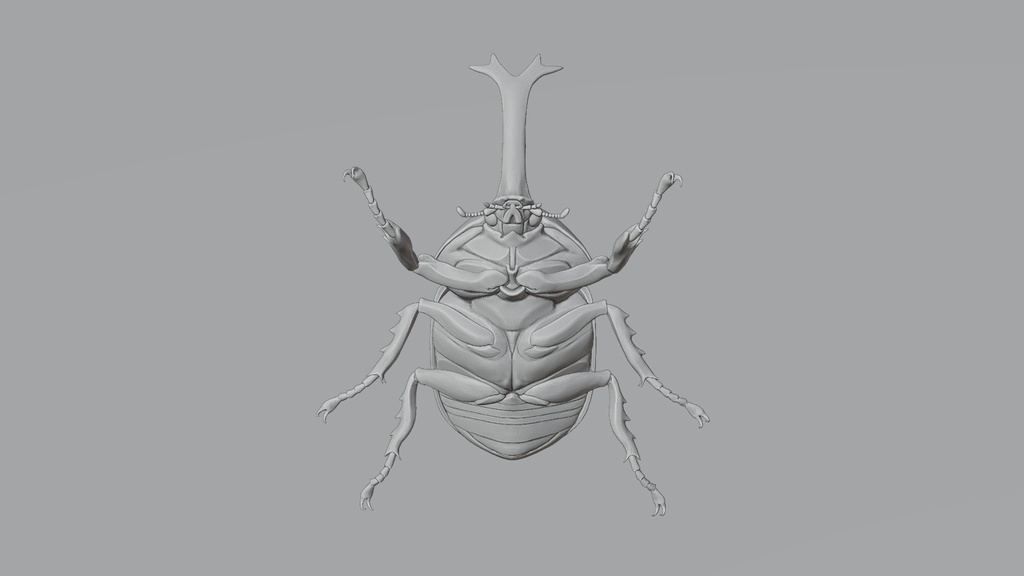 カブトムシ 3Dモデル