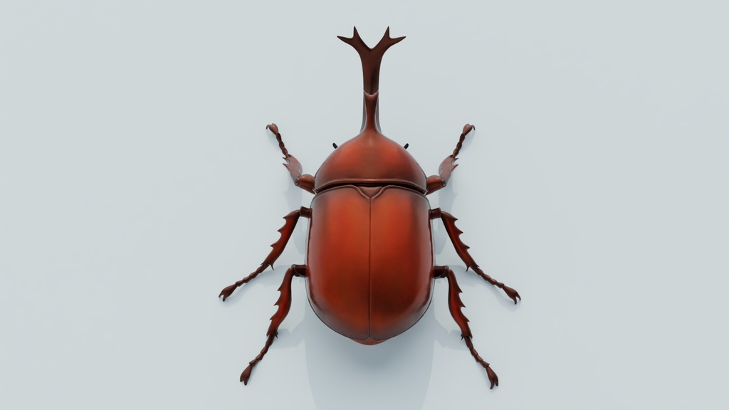 カブトムシ 3Dモデル